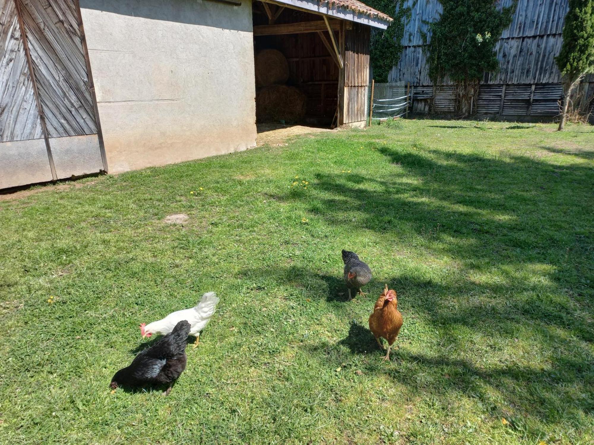L' Embellie Sur Lot Bed and Breakfast Sainte-Livrade-sur-Lot Buitenkant foto